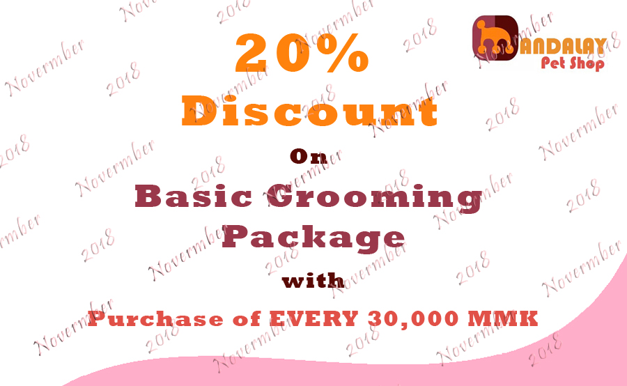 Mandalay Pet Shop We Love Your Pets, We Care For You